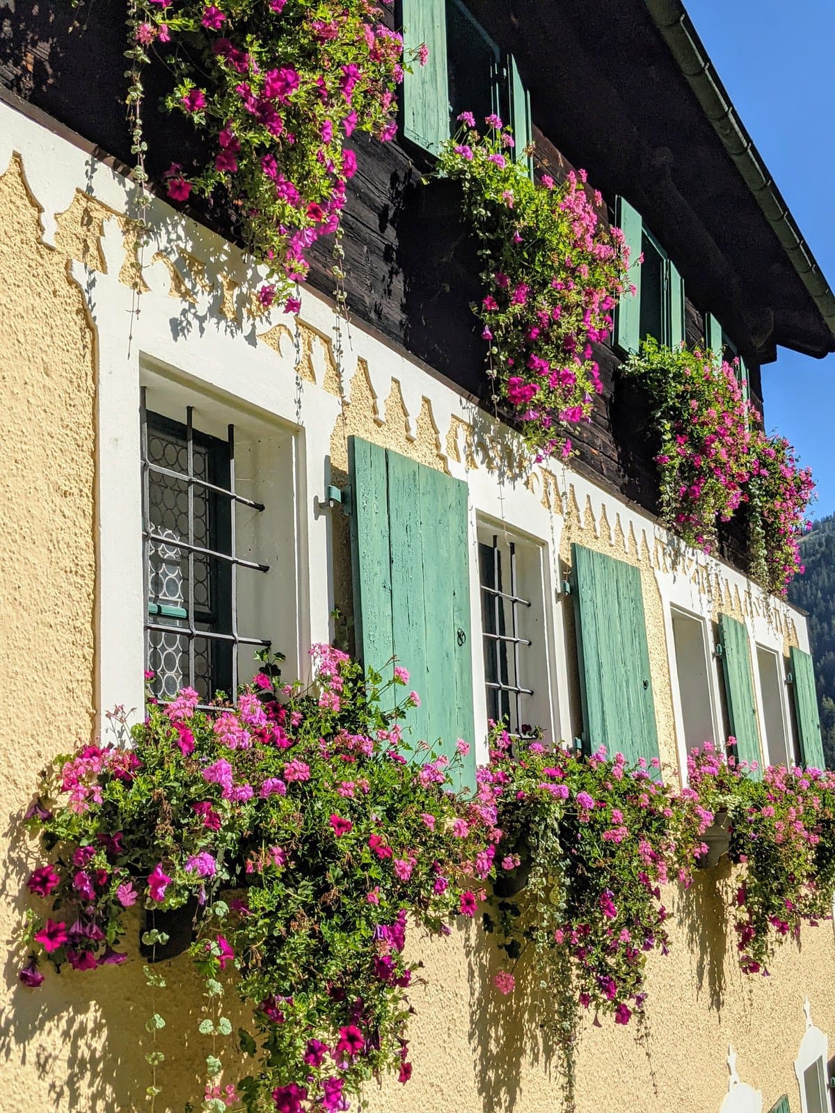 A painted, cream-rendered façade with green shutters and window boxes full of pink geraniums
