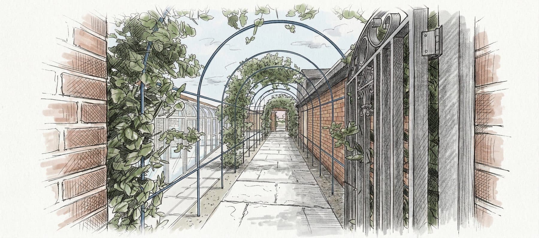 Sketch of a pergola-covered walkway with climbing planting, leading toward the barn